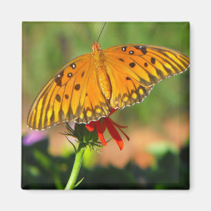 Aimant Papillon Upclose de fritillaire de Golfe
