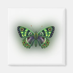 Aimant Papillon vert