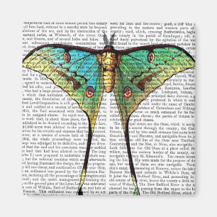 Aimant Papillon vibrant