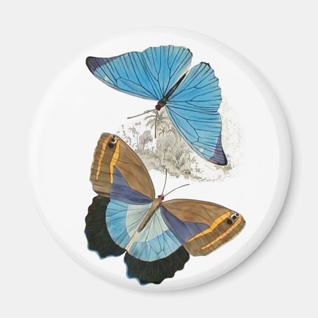 Aimant Papillons - Bleu (Devant)
