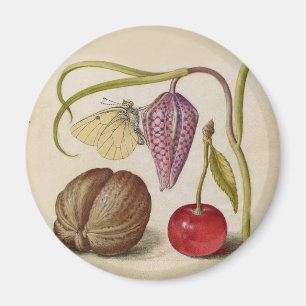 Aimant Papillons noix Fleur Cerisier Aquarelle Art