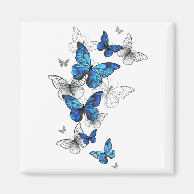 Aimant Papillons volants bleus Morpho (Devant)