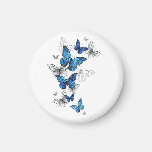 Aimant Papillons volants bleus Morpho