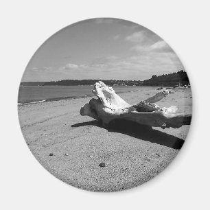 Aimant Parc de Driftwood Discovery