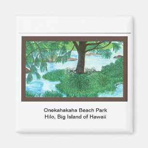 Aimant Parc de plage d'Aimant-Onekahakaha, Hilo