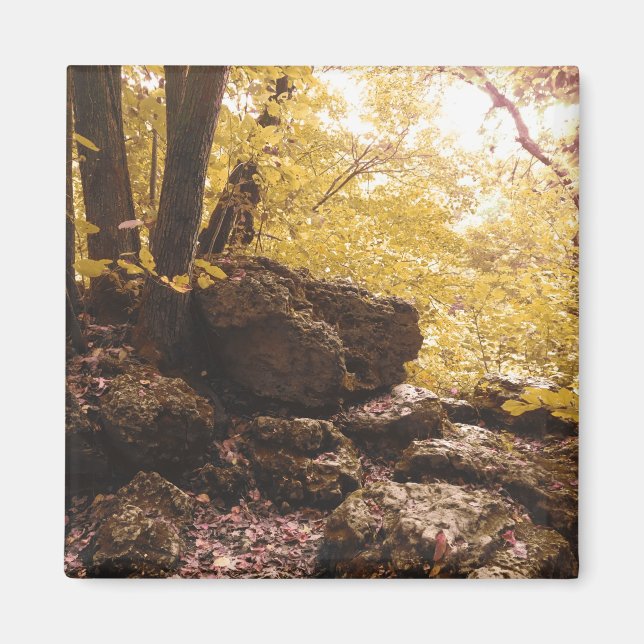 Aimant parc national backbone iowa (Devant)