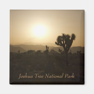 Aimant Parc national d'arbre de Joshua