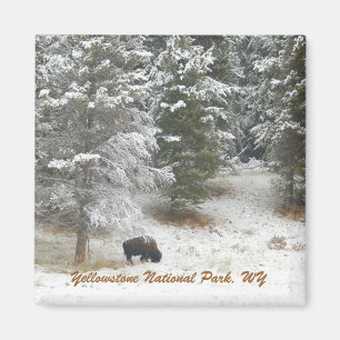 Aimant Parc national de Yellowstone, WY