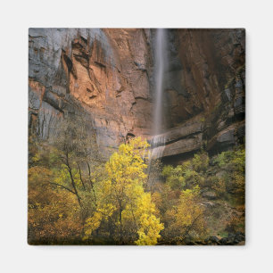 Aimant Parc national de Zion, Utah. États-Unis Éphémère