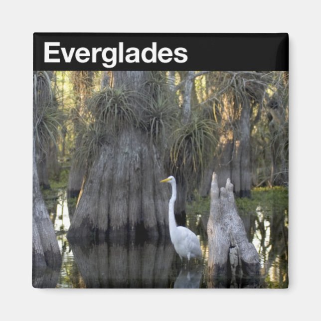 Aimant Parc national des Everglades (Devant)