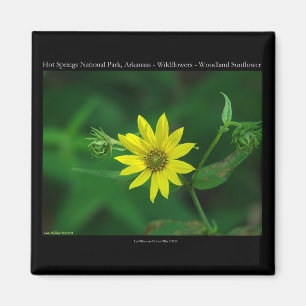 Aimant Parc national des sources chaudes Cadeaux de tourn