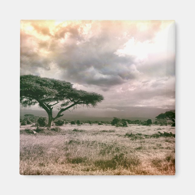 Aimant Parc national du Serengeti Savannah du Sahara afri (Devant)