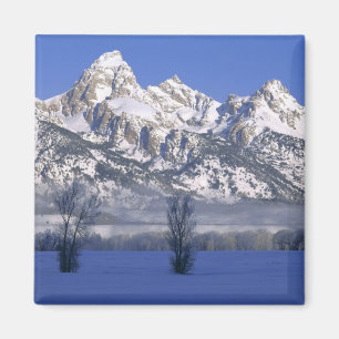 Aimant PARC NATIONAL GRAND TETON, WYOMING. USA. Brouillar