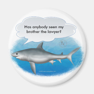 Aimant Parler de requin