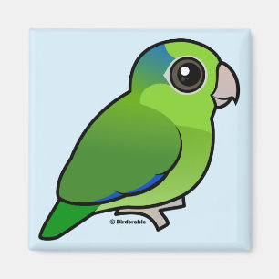 Aimant Parrotlet Pacifique vert