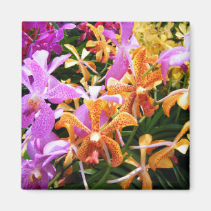 Aimant Partie d'orchidée