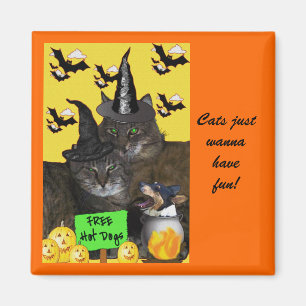 Aimant Partie féline de Halloween