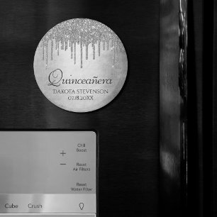 Aimant Parties scintillant d'argent de dépôt   Platinum Q