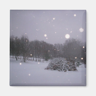 Aimant Parties scintillant Icy