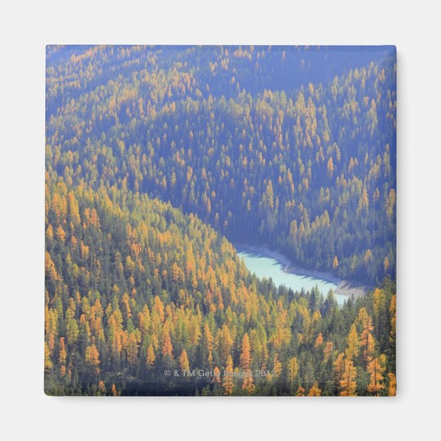 Aimant Passe Fuorn (Devant)