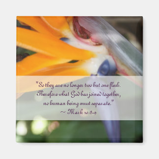 Aimant Passion au Paradis Mariage chrétien Favoriser