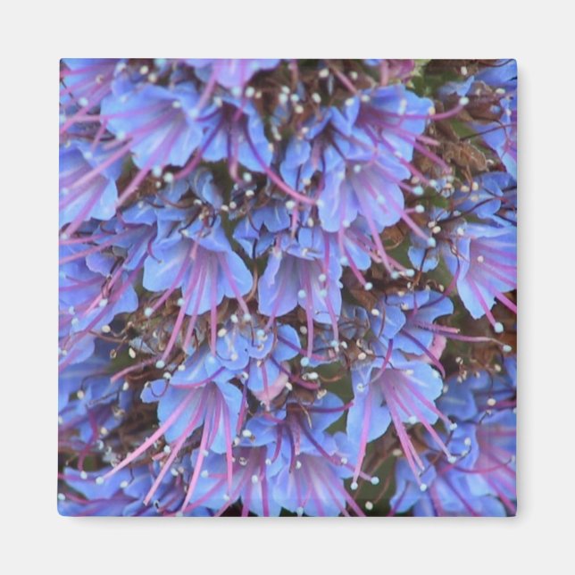 Aimant Passion violette (Devant)