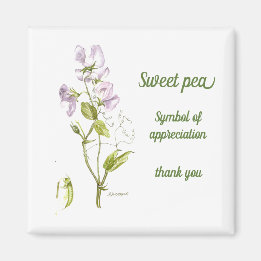 Aimant Pastel pois doux violet vert d'eau