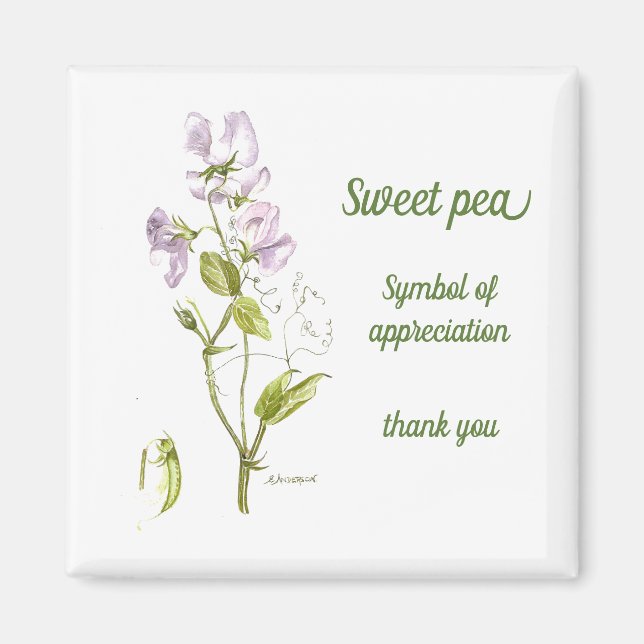 Aimant Pastel pois doux violet vert d'eau (Devant)