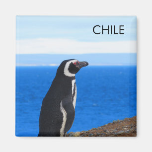 Aimant Patagonie Chili Pingouin