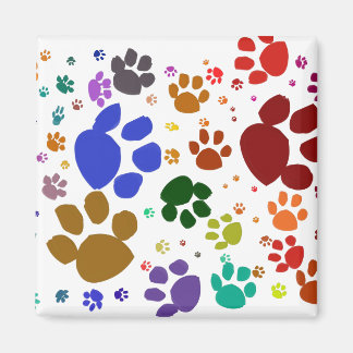 Aimant pattes de chat colorées