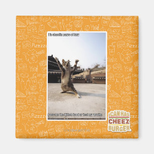 Aimant Pattes de shaolin de l'iz I de fureur