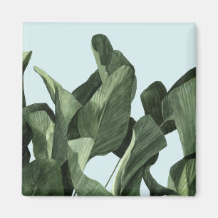 Aimant Paumes de Celadon