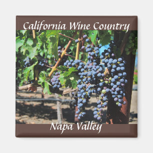 Aimant Pays vinicole de Napa Valley en Californie