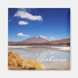 Aimant Paysage d'Altiplano avec le volcan en Bolivie
