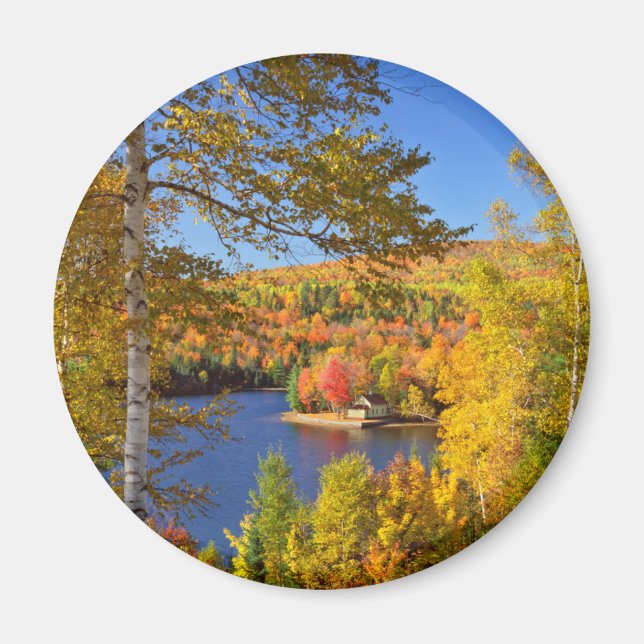Aimant Paysage d'arbres en automne, Maine (Devant)