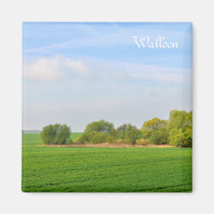Aimant paysage en wallon, province de Liège