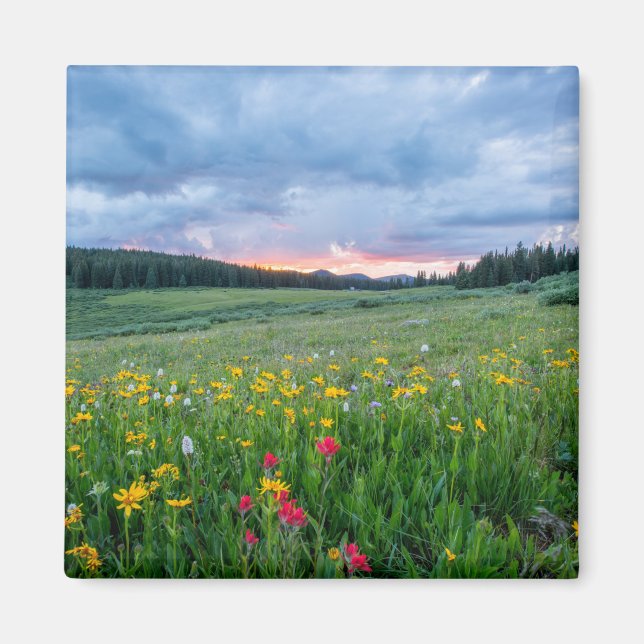 Aimant Paysage pittoresque avec fleurs sauvages colorés (Devant)