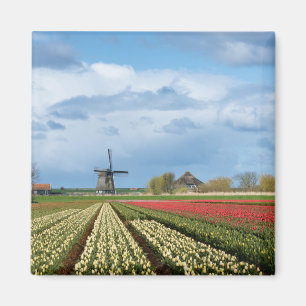 Aimant paysager moulin à vent et tulipes