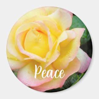 Aimant Peace Rose Photo