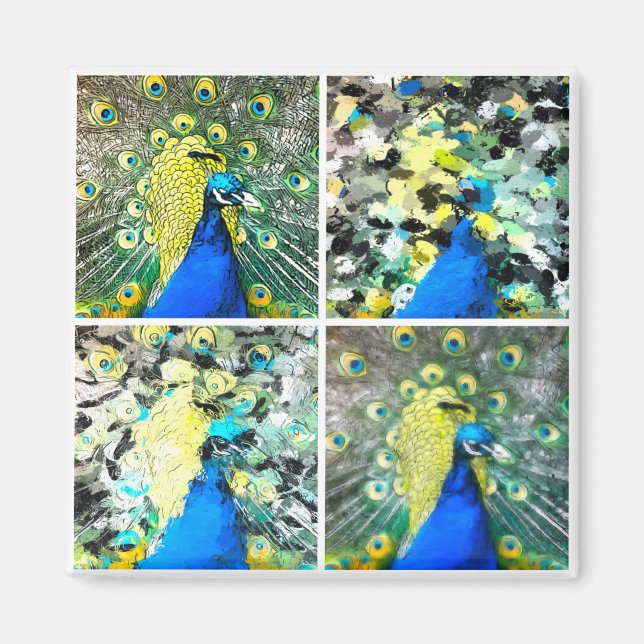 Aimant Peacock Art (Devant)