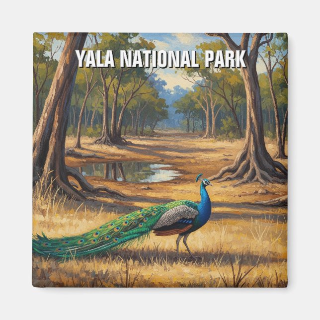 Aimant Peacock au Sri Lanka Parc national Yala Voyage (Devant)
