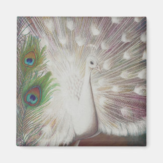 Aimant Peacock blanc et Peacock vert Piment art Imprimer