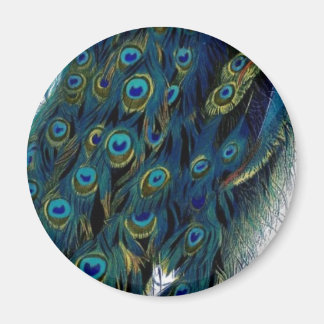 Aimant Peacock vintage