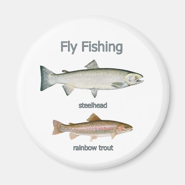 Aimant Pêche à la mouche Truite arc-en-ciel - Tête d'acie (Devant)