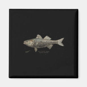 Aimant Pêche B rayée 