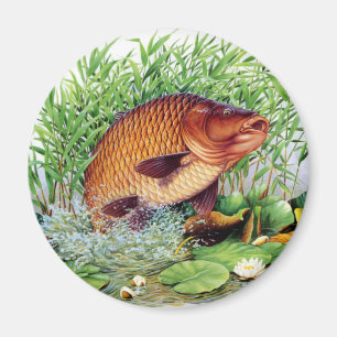 Aimant Pêche de carpe