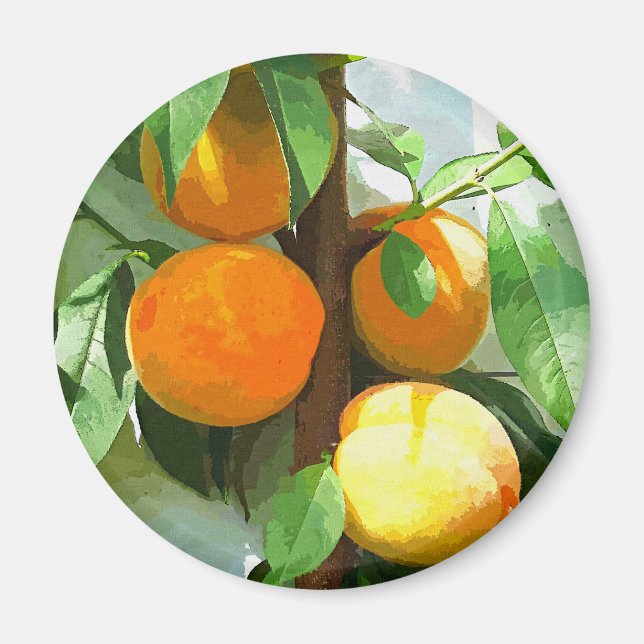 AIMANT PÊCHES (Devant)