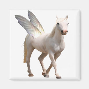 Aimant Pegasus