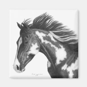 Aimant Peignez l'aimant de cheval