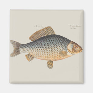 Aimant peinture de pêche de carpe dessin d'eau douce